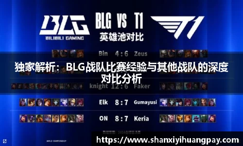 独家解析：BLG战队比赛经验与其他战队的深度对比分析