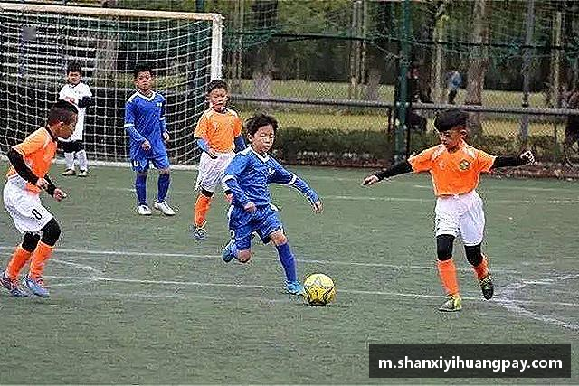 发现今年会jinnianhui官网